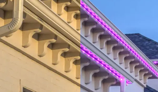 Proscape Permanent Outdoor Lighting
