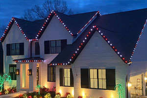Proscape Permanent Outdoor Lighting