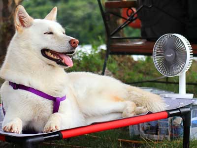 July - Surviving heat and dry spells