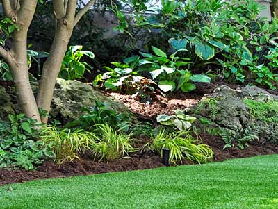 June - Prepare the Yard for Summer Fun
